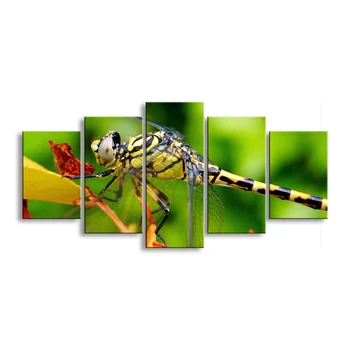 

5 pieces high-definition print dragonfly canvas painting poster and wall art living room picture QIT5-001