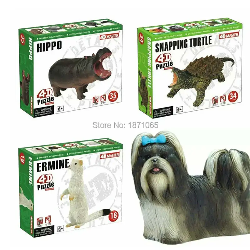 

4D Master Anatomy Ermine Snapping Turtle Hippo Anatomy Life Size Animals Model 4D Educational Puzzle Medical Science Doll Toys