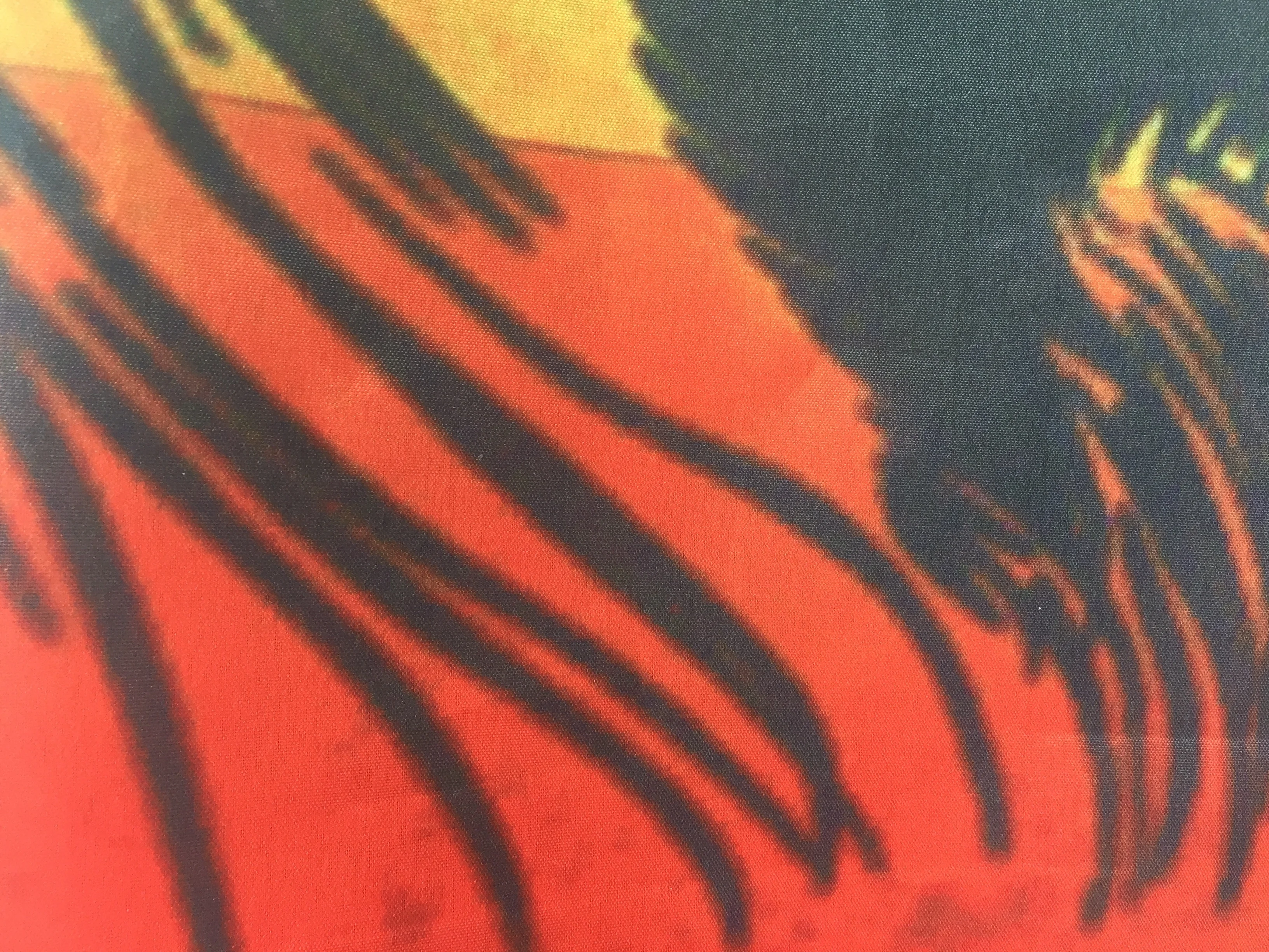 Drapeau reggae avec lion roi – Image 4