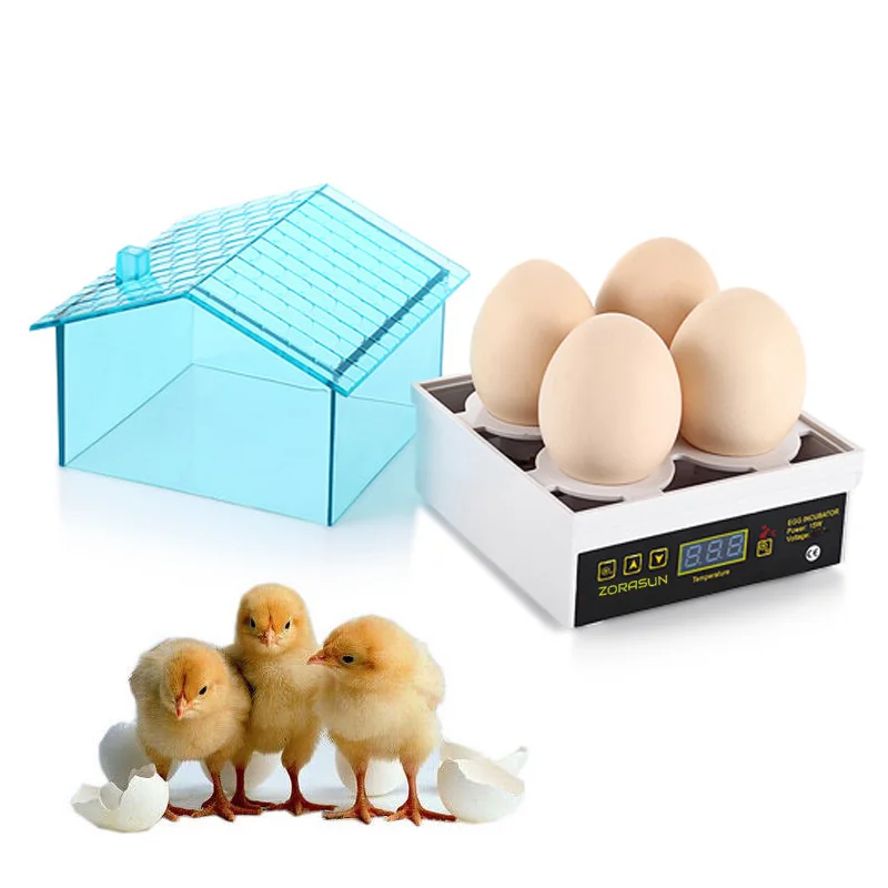

New Cheap Price China Digital Temperature Small Brooder 4 Mini Hatchery Egg Incubator Hatcher for Chicken Duck Bird Pigeon Quail