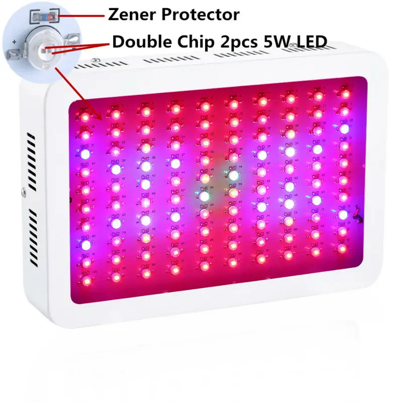 100x10W (8)