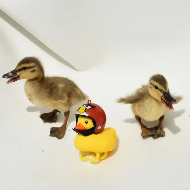 UTB8btDAwYPJXKJkSafSq6yqUXXaC.jpg_.webp_640x640