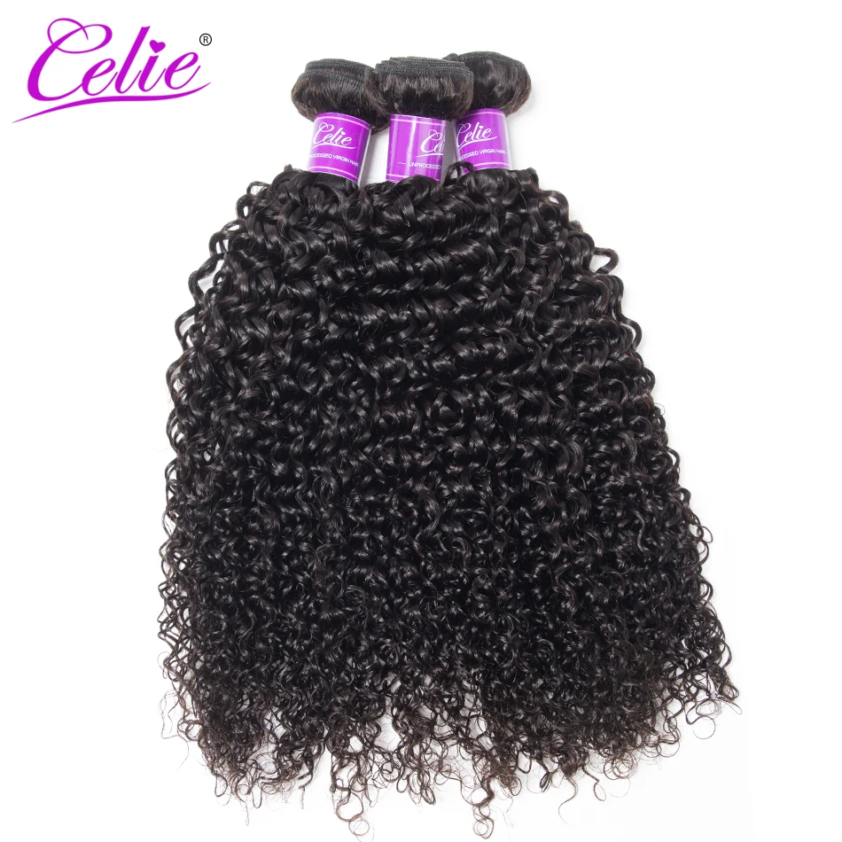 Celie Hair Peruvian Curly Hair 4 Bundles 100% Human Weave Bundles Natural Black Color Remy Human Extensions
