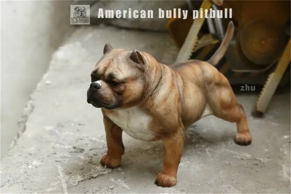 1/6子供のおもちゃコレクションmr z犬図ペットモデルアメリカいじめピットブル筋肉モデル犬