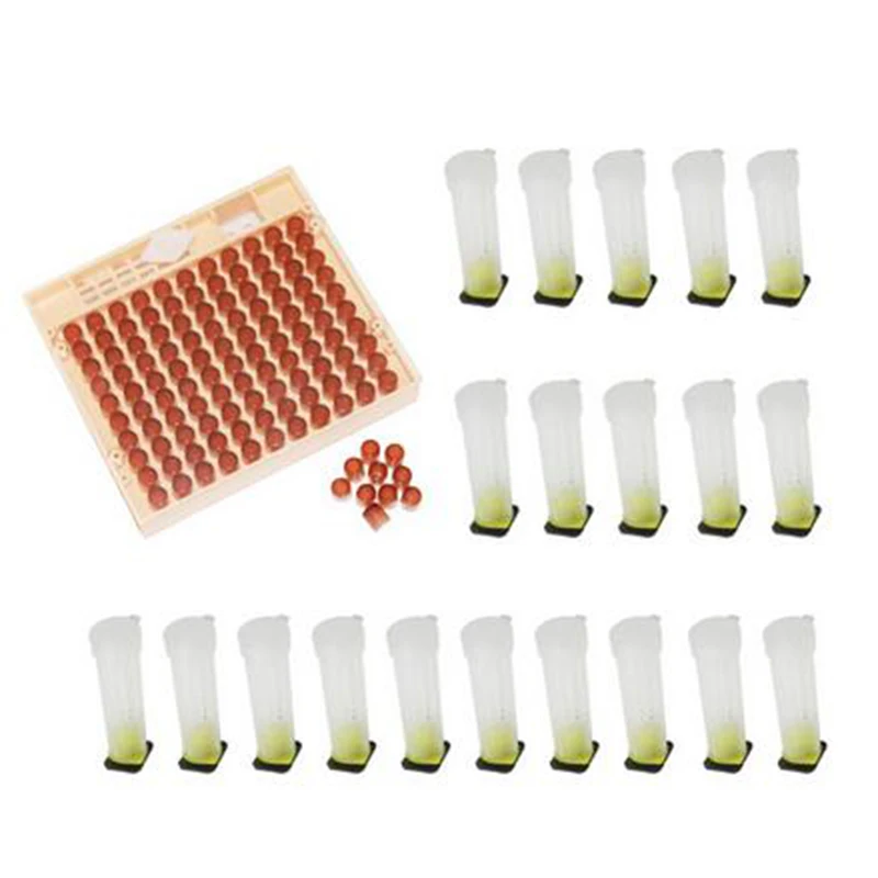 

Beekeeping Tools Queen Rearing System Equipment Set Crop Box 120pcs Bee Cups Cell Bee Cell Cups Cup kit Queen Cage