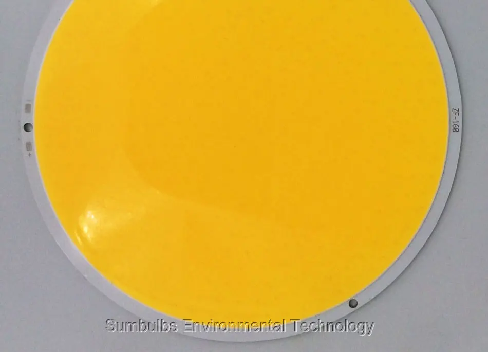 50W 200W Ultra Bright Warm Pure White Round LED COB Lamp Chip On Board DC 12V 14V DIY LED Light Source Beads Bulb (5)