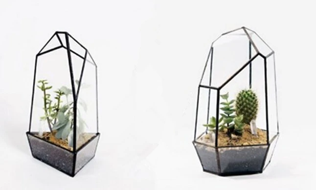 Tabletop Greenhouse10.jpg