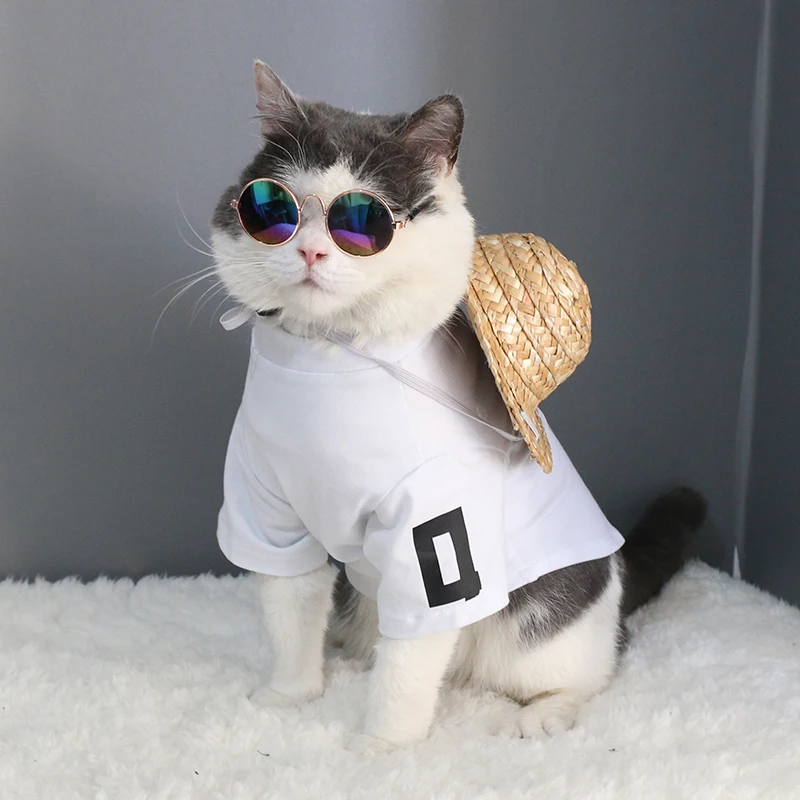cat eye sunglasses
