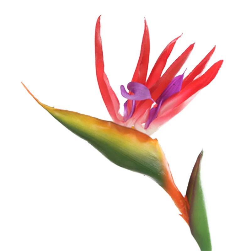 상품 이미지 15