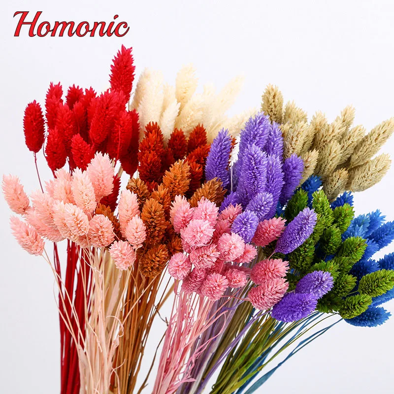 20pcs//Bunch Natural Dried Flower Berry Stem Rattan Home Wedding Flower Decors