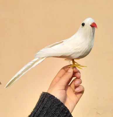 new cute simulation white dove toy plastic &amp furs bird model gift about 22cm 1048 | Игрушки и хобби