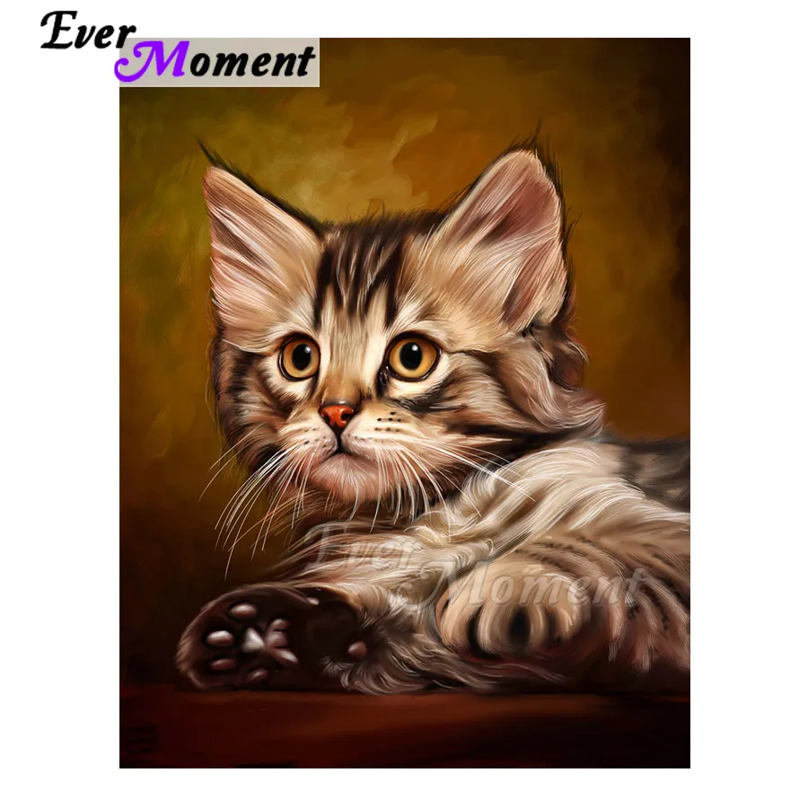 Ever Moment Алмазная Картина Кот грустное лицо хобби 5D DIY украшение ручной работы для