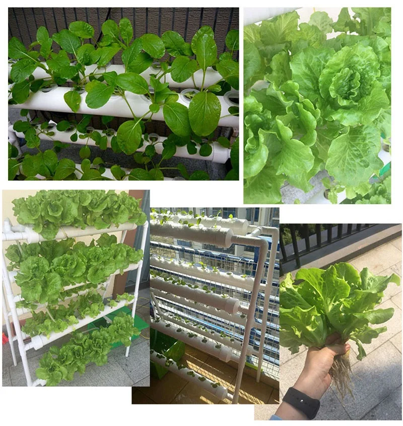 High Quality Hydroponics System NFT with 70pcs of Net Cup Nutrient Film Technique (NFT) Express Free Shipping ZA3793 High Quality Hydroponics System NFT with 70pcs of Net Cup Nutrient Film Technique (NFT) Express Free Shipping ZA3793