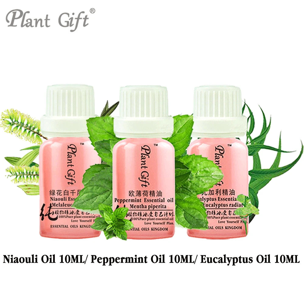 

Free Shopping100% Pure Plant Essential Oils Niaouli / Peppermint / Eucalyptus Oil 10ml Clean Wounds Cajuput Oil Excited Effect