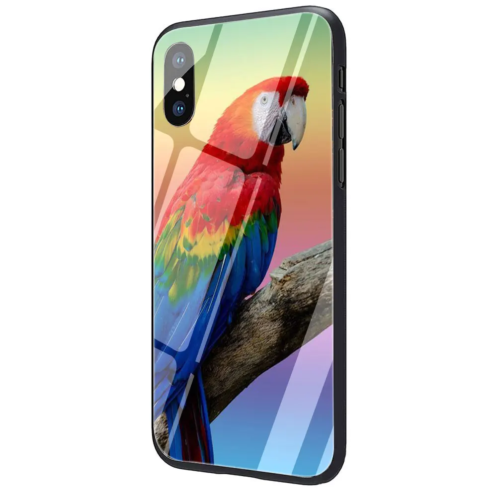 G11 Чехол для телефона из закаленного стекла Parrot чехол для iPhone 6 6S Plus 7 8 Plus X XS XR XS Max - Цвет: G11