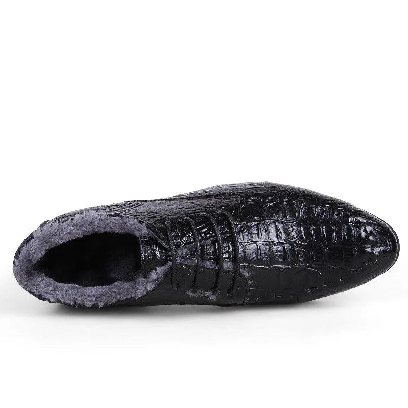 3451112341_1620862535