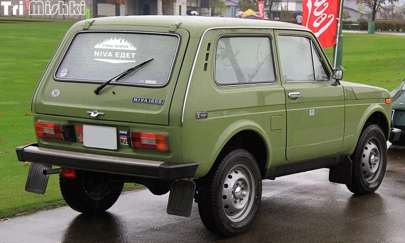 niva (6)_