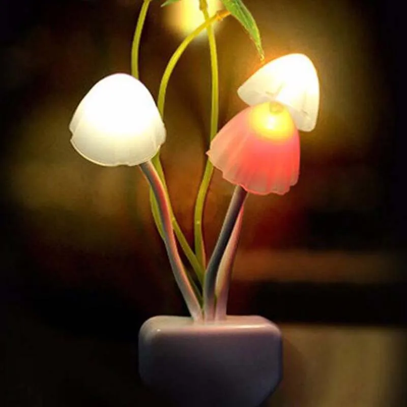 QQ20181205070434