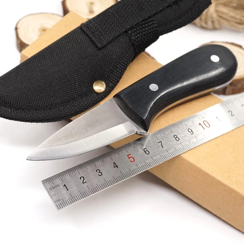 Outdoor Fixed Blade Hunting Knife Small Straight Knife 440C Blade Wood