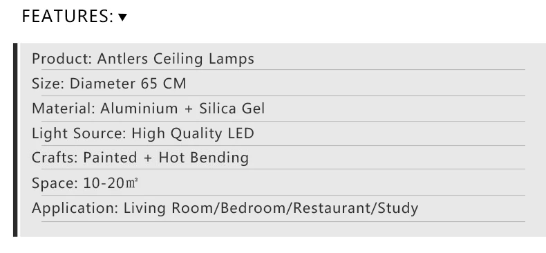 ceiling light