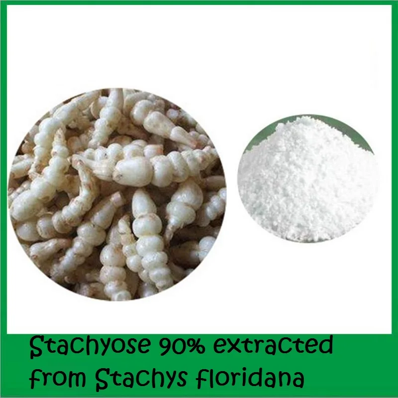 1kg Stachyose 90% extracted from Stachys floridana 100% Natural and health as diet supplement