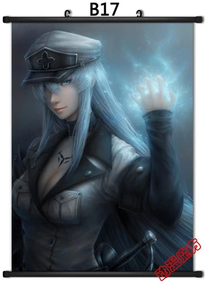 

New anime Akame ga KILL Esdeath Home Decor Japanese Poster Wall Scroll