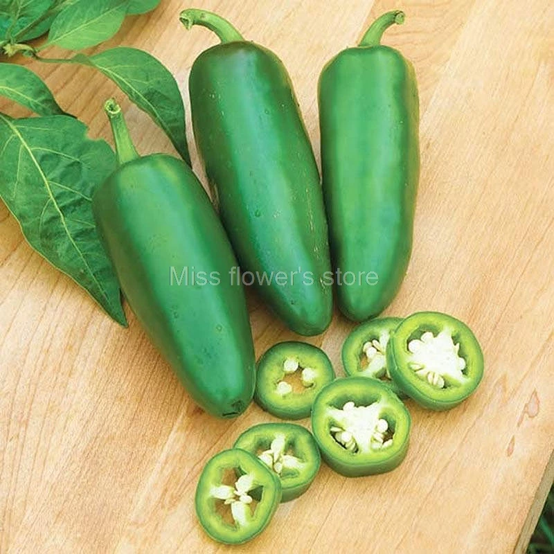 100 Hot Jalapeno Pepper Seeds Capsicum Organic Vegetable Bulk Seeds