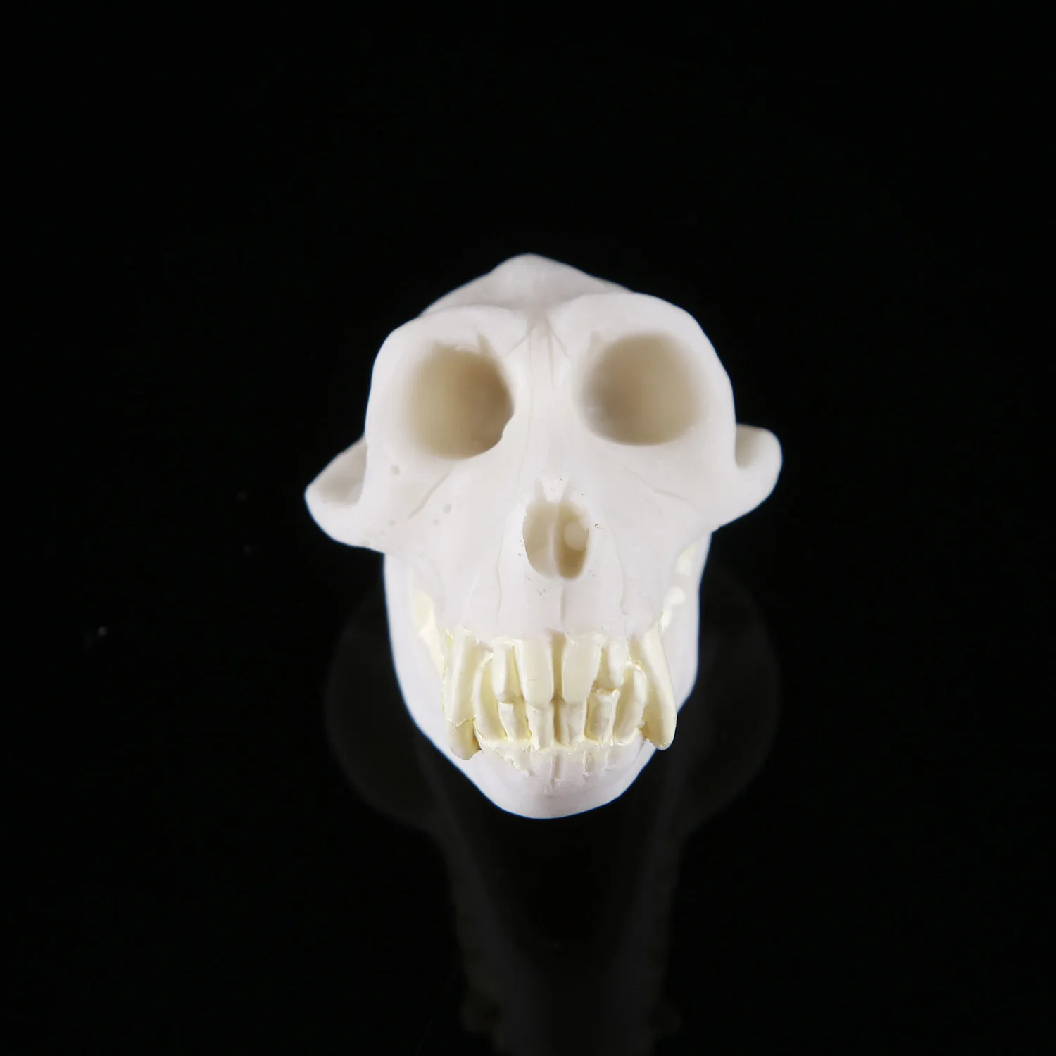 Kawaii подарок Diy моделирование обезьянка Смола животное Череп домашний декор
