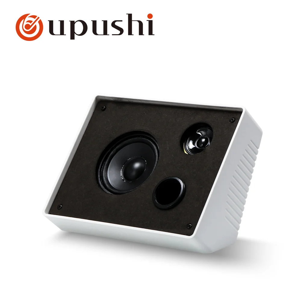20w speakers wall mounts 4.5 inch classroom pa