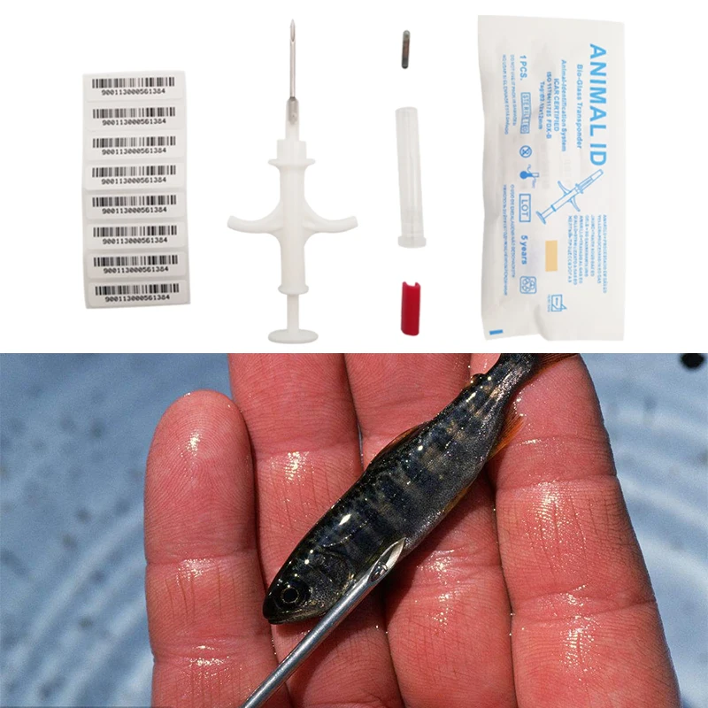 Etiqueta de Vidro Injetável para Identificação Rfid Bioglass Microchips Chip Animal Pássaro Gato Cão Cavalo Peixe Identificação 8mm