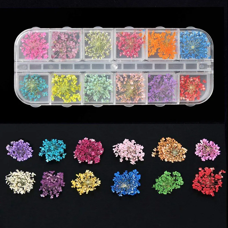Bittb, 12 цветов, настоящие сушеные цветы, украшения для ногтей, сухие цветочные наклейки для ногтей, наклейки, УФ Гель-лак, инструменты для маникюра с коробкой