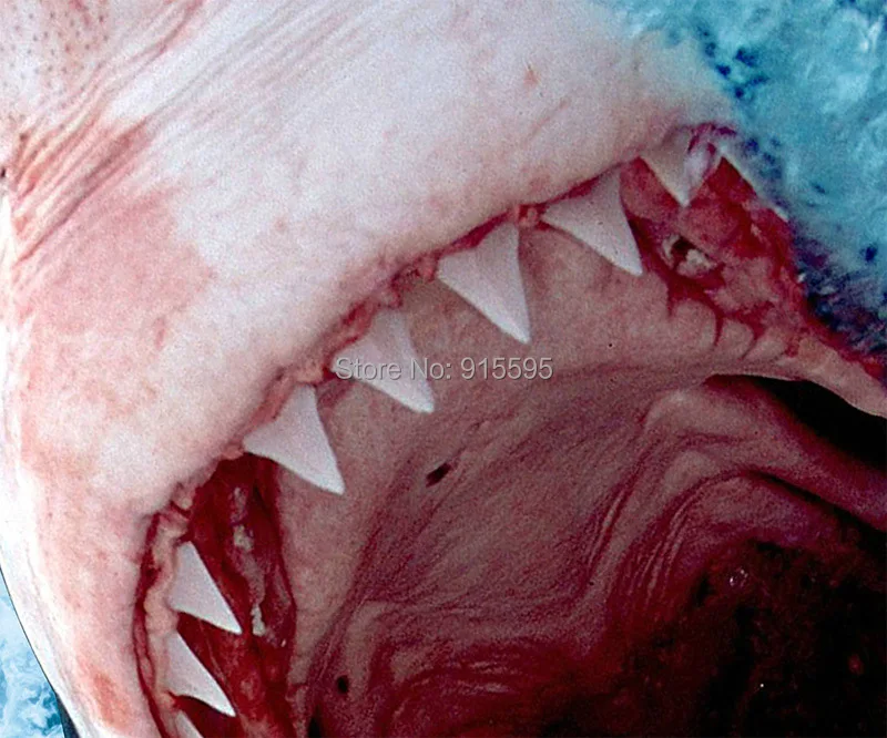 Пользовательские фото 3D настил Фреска акулы водопад 3D стереоскопический пол наклейки водонепроницаемые утолщенные самоклеющиеся ПВХ обои