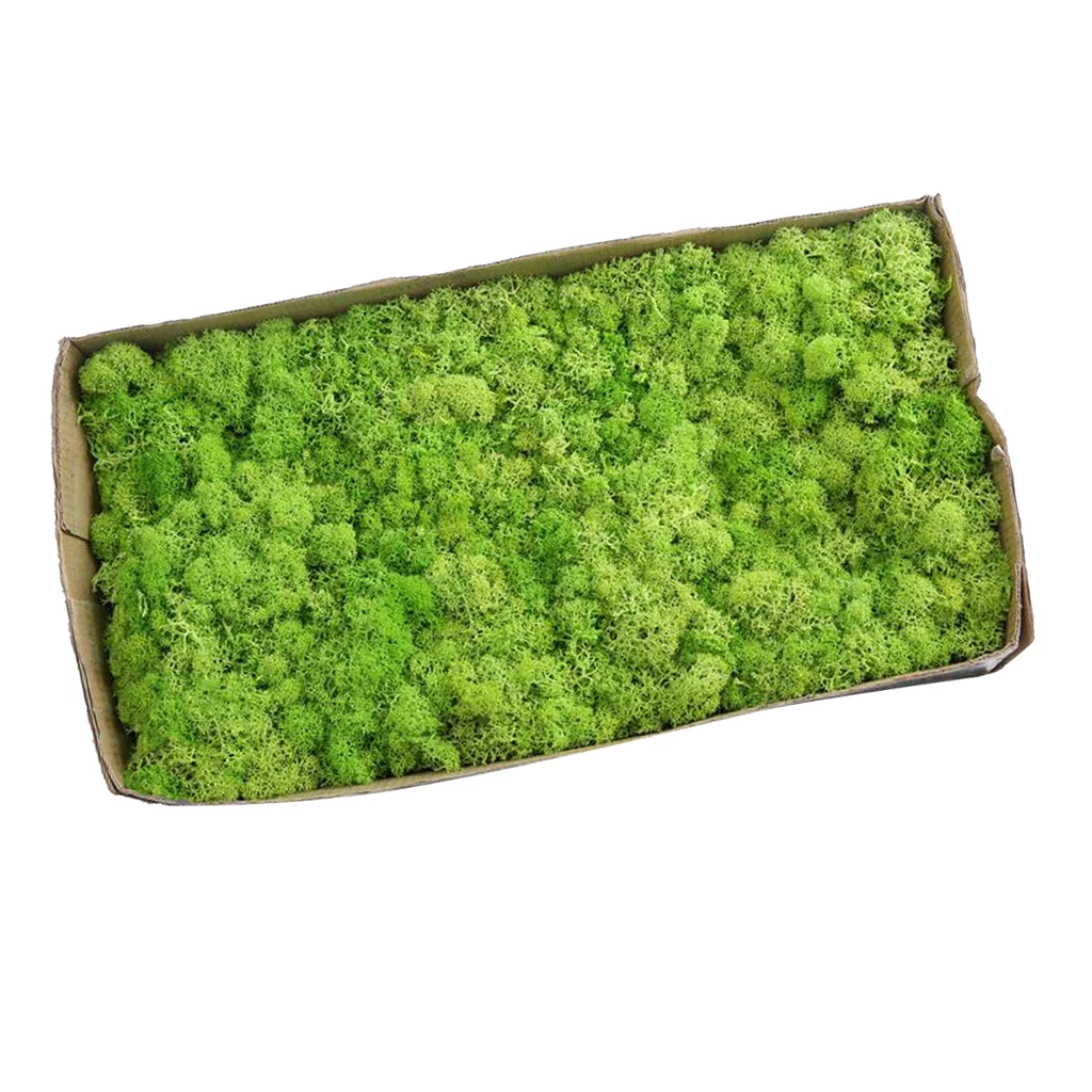 Fruit Green Искусственный цветок сушеный олень мох для сада дома украшения для самодельного изготовления цветок бонсай корзина растение Свадебный дерн Декор - Цвет: Fruit Green