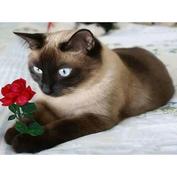 

diamond painting DIY diamond painting cross stitch Needlework diamond mosaic diamond embroidery Cat Rose