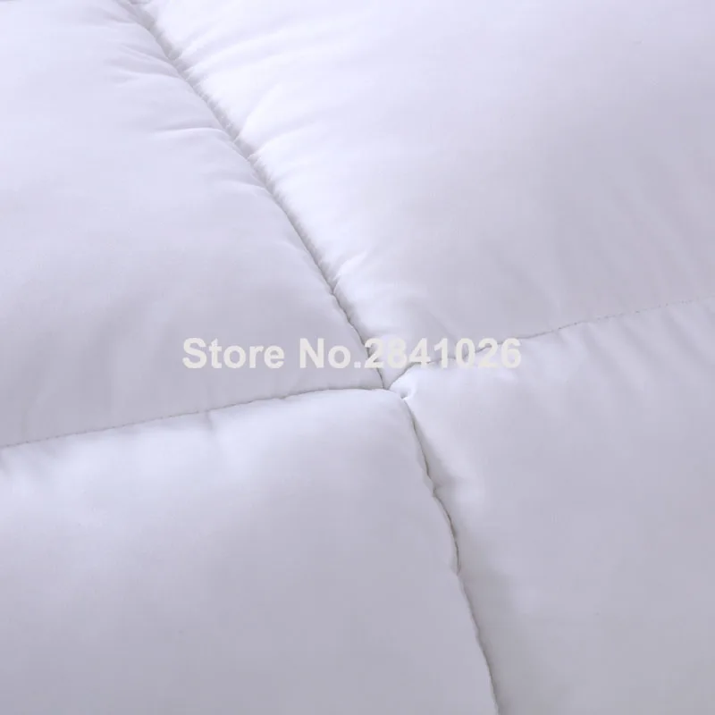 5L6A5393