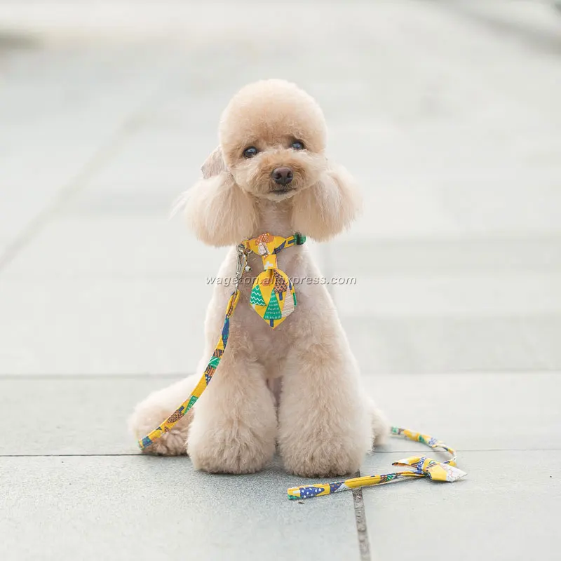 10 dog collar leash set large 