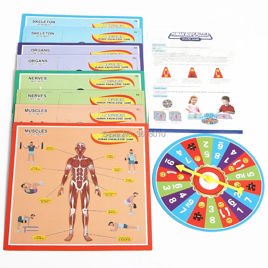 Раннее Образование просвещение Бумага головоломки 3D плоскости человеческого тела обучения Структура головоломки Настольная игра