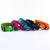 Pet Products