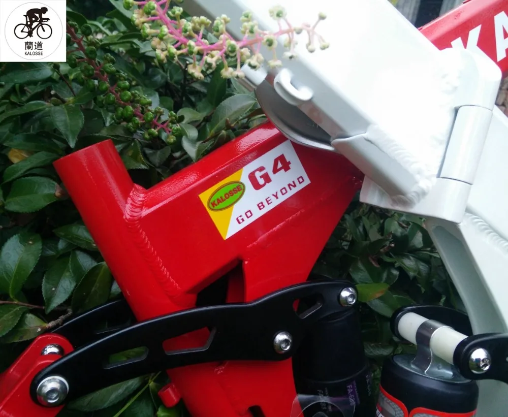 Flash Deal Kaloss DIY  colors    bicycle parts  mountain  bike frame  17 inch ,  26 inch  folding MTB  frame 3