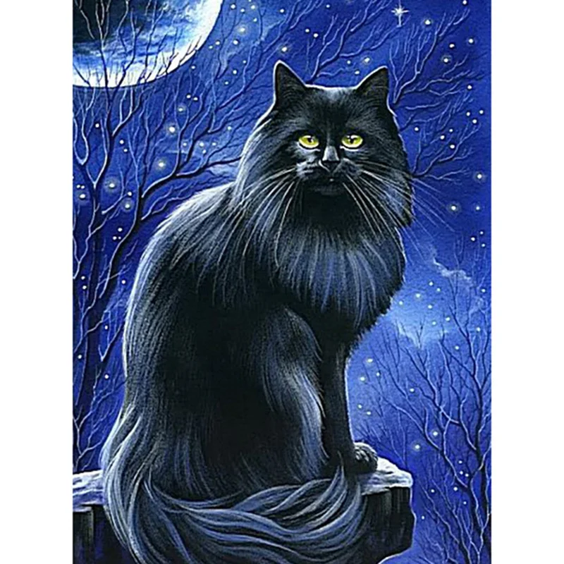 черный кот оракул. волшебный ночной пейзаж. черный кот оракул. таро мистических кошек старшие арканы. тотемное животное кошка.