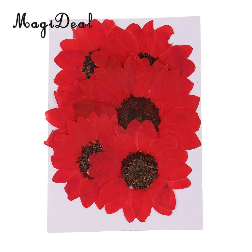 6 Pieces Pressed Natural Real Dried Flowers Sunflower for DIY Resin Ornament Craft Christmas Xmas Card Making Decoration