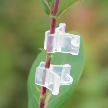 

100pcs Garden Flower Plant Vine Seedlings Grafted Branches Clip Connector Fasteners Plastic Clips Garden Tool