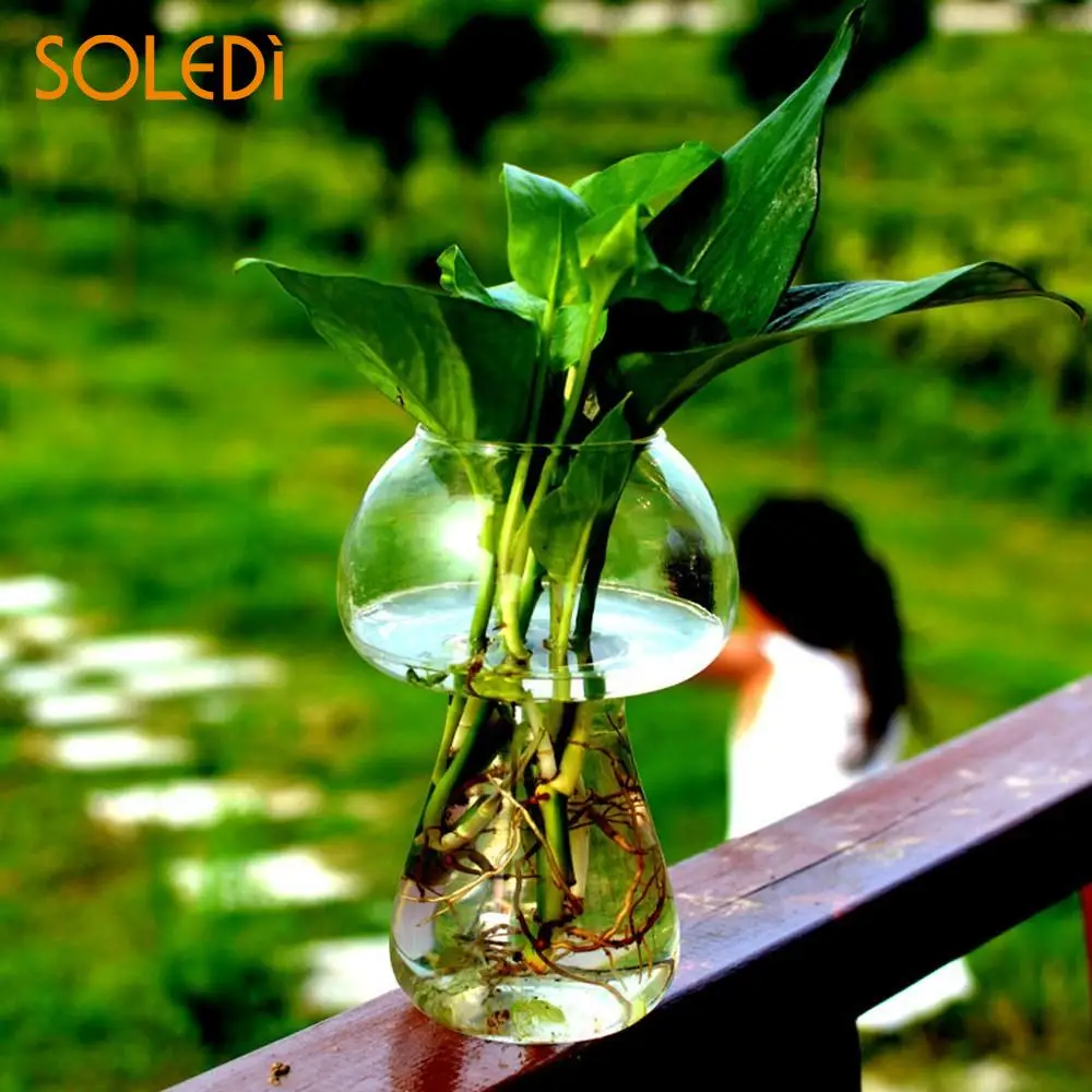 Стеклянная ваза в форме гриба стеклянная Террариум Бутылка Контейнер современный стиль