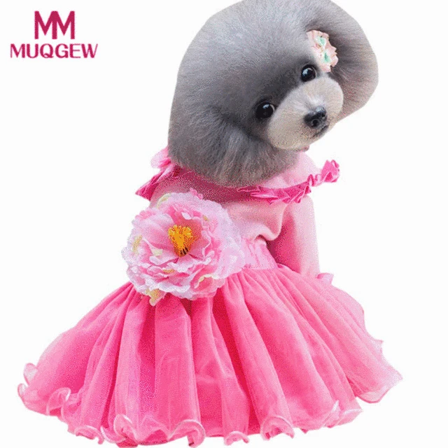 € 1.16 44% de réduction|Princesse chien robe hiver chaud noël pivoine floral dentelle paillettes rose jupe robe printemps été petit animal chat € 1.16 44% de réduction|Princesse chien robe hiver chaud noël pivoine floral dentelle paillettes rose jupe robe printemps été petit animal chat