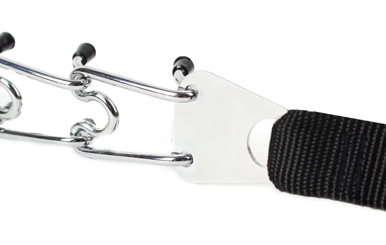 pet collar for large dogs