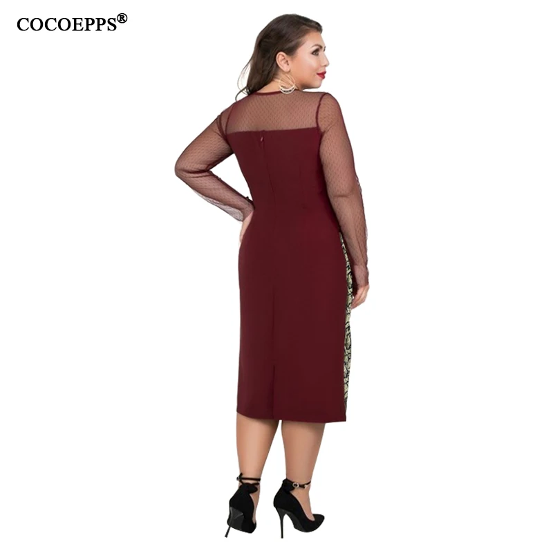 COCOEPPS  12