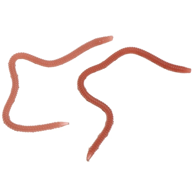 2SS100262-4