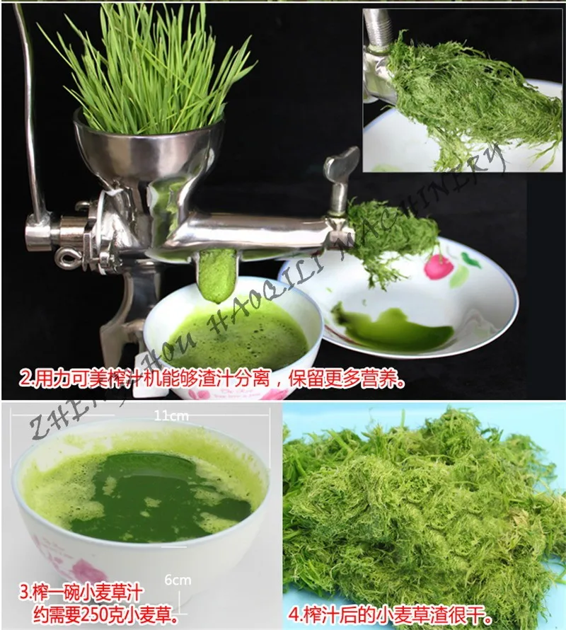 grass juicer (13)