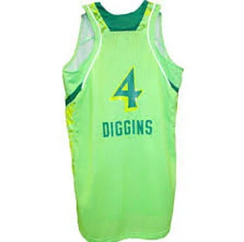 skylar diggins notre dame jersey