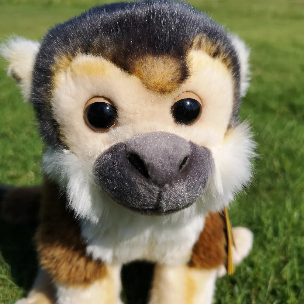 Col naso schiacciato MONKEY SCIMMIA Wildlife Giocattolo Modellino 100321 da Safari Ltd Nuovo di Zecca